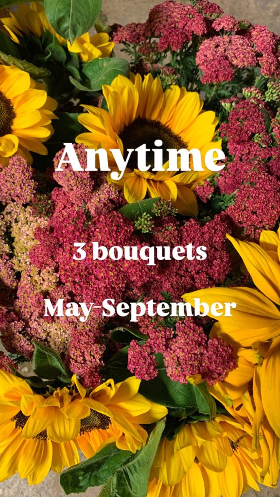 anytime